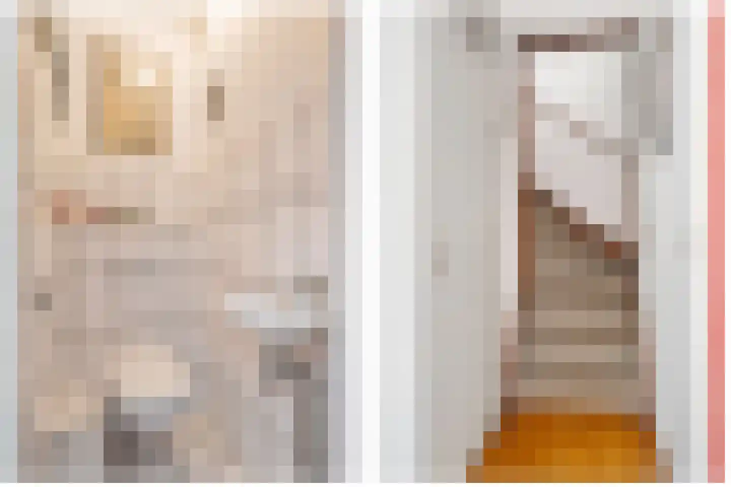 Veenmos 23 Nieuwerkerk aan den IJssel thumbnail 14