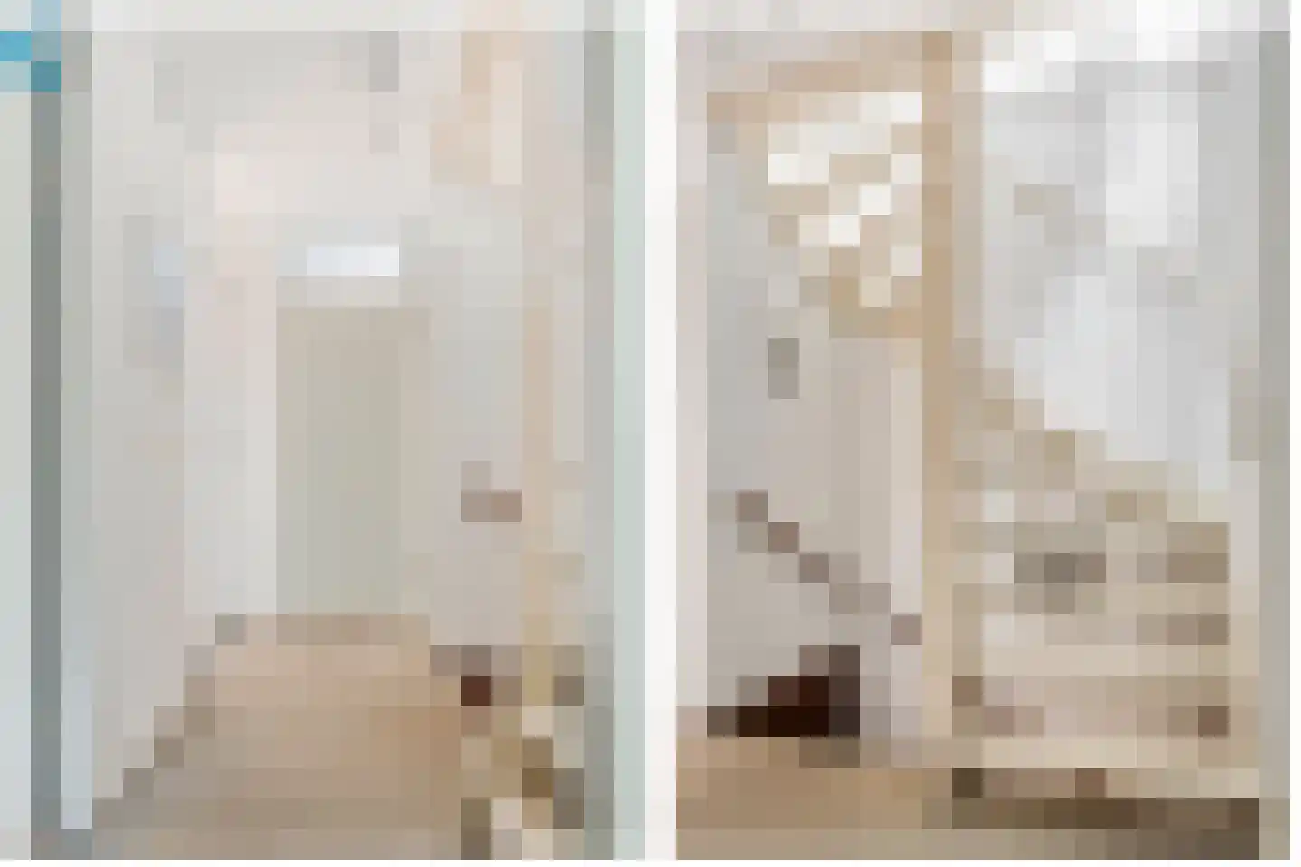 Veenmos 23 Nieuwerkerk aan den IJssel thumbnail 15