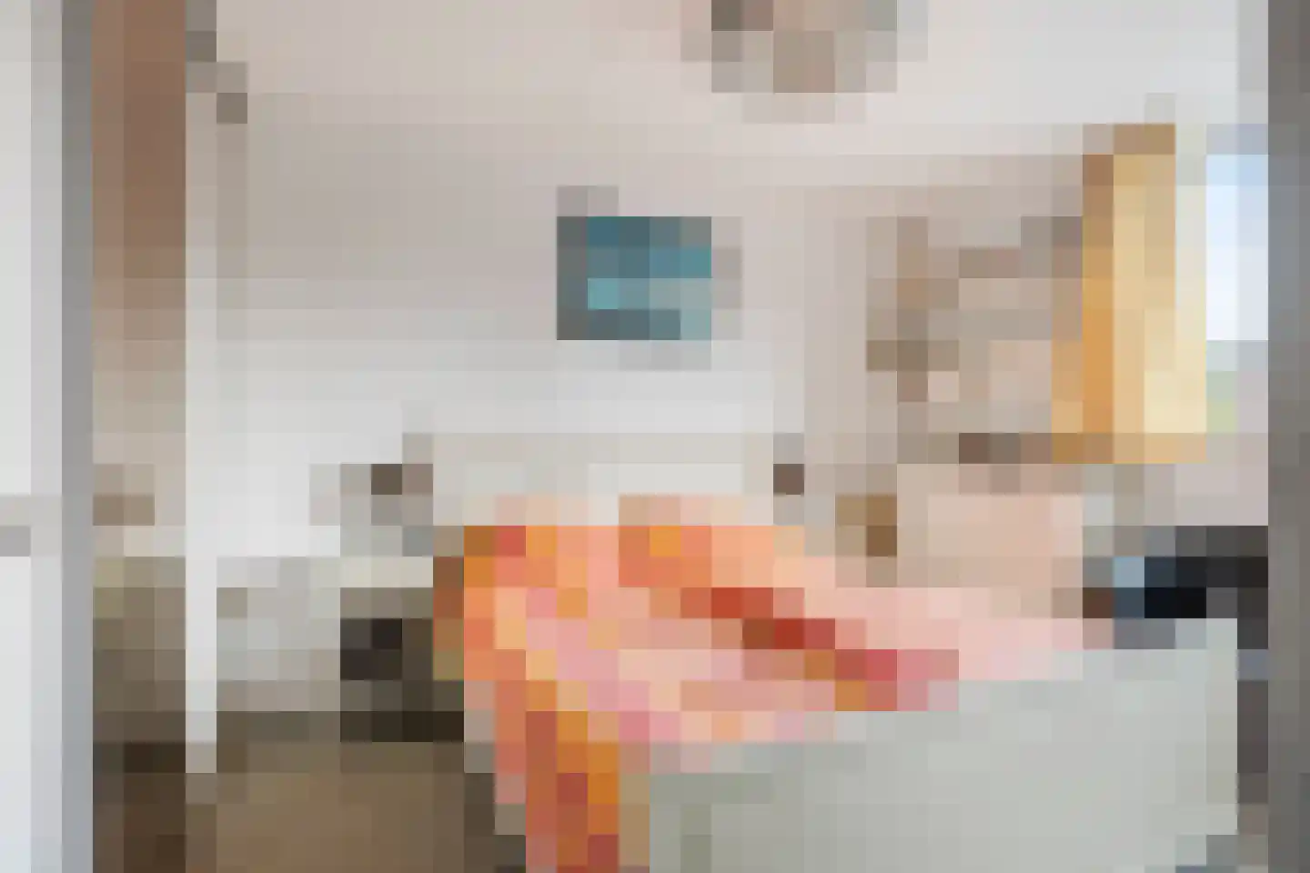 Veenmos 23 Nieuwerkerk aan den IJssel thumbnail 16