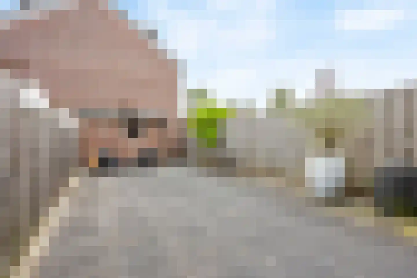 Veenmos 23 Nieuwerkerk aan den IJssel thumbnail 24