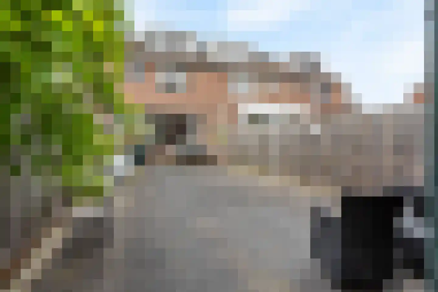 Veenmos 23 Nieuwerkerk aan den IJssel thumbnail 25