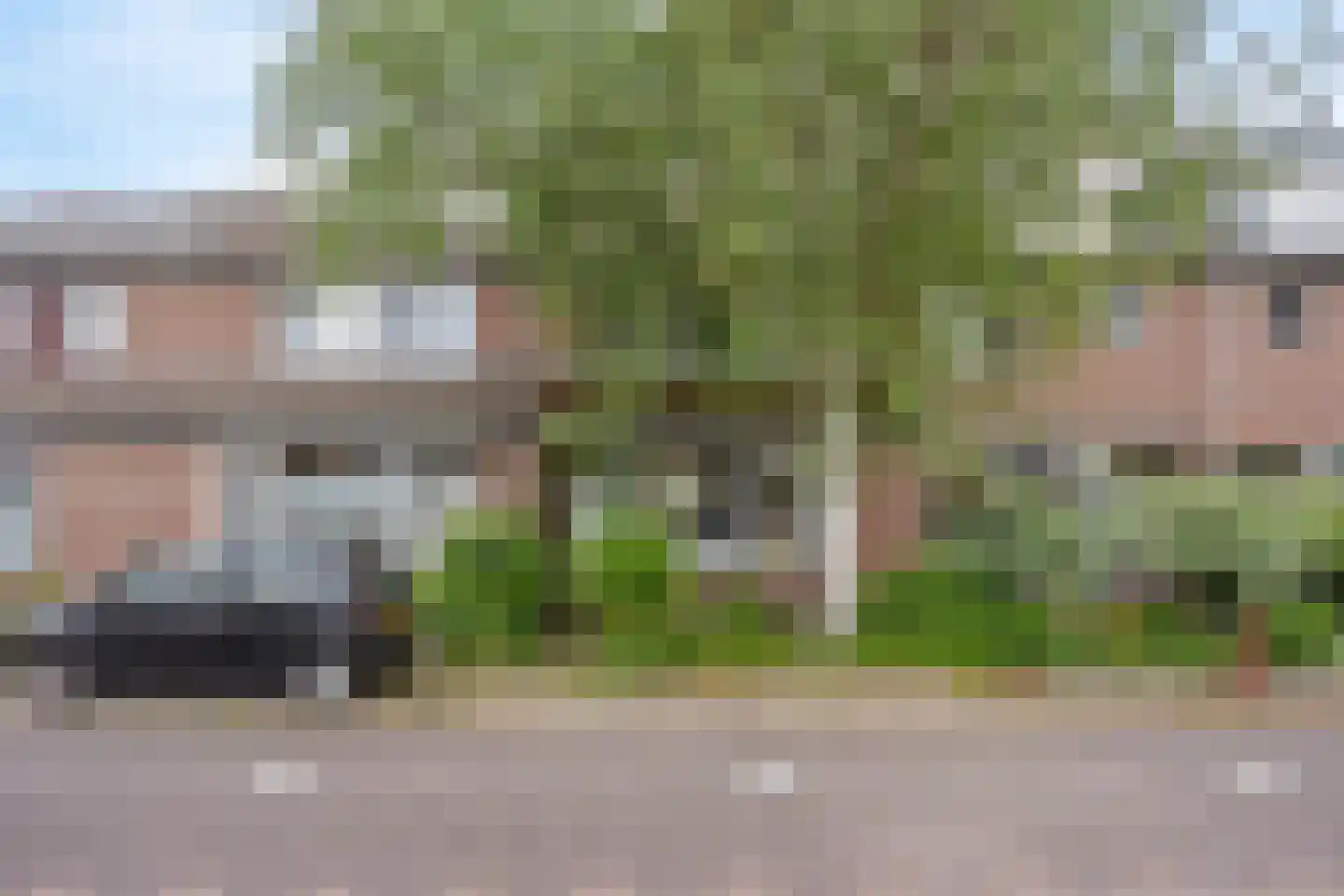 Veenmos 23 Nieuwerkerk aan den IJssel thumbnail 26