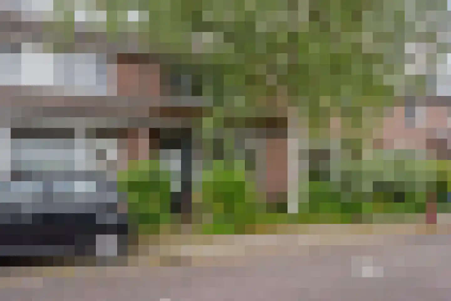 Veenmos 23 Nieuwerkerk aan den IJssel thumbnail 27