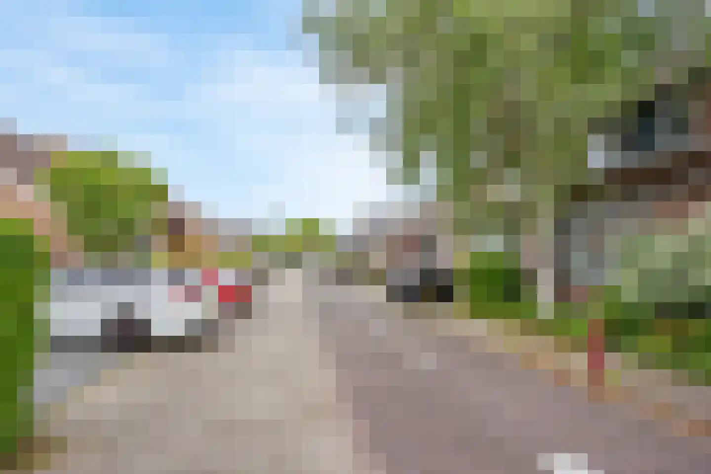 Veenmos 23 Nieuwerkerk aan den IJssel thumbnail 28
