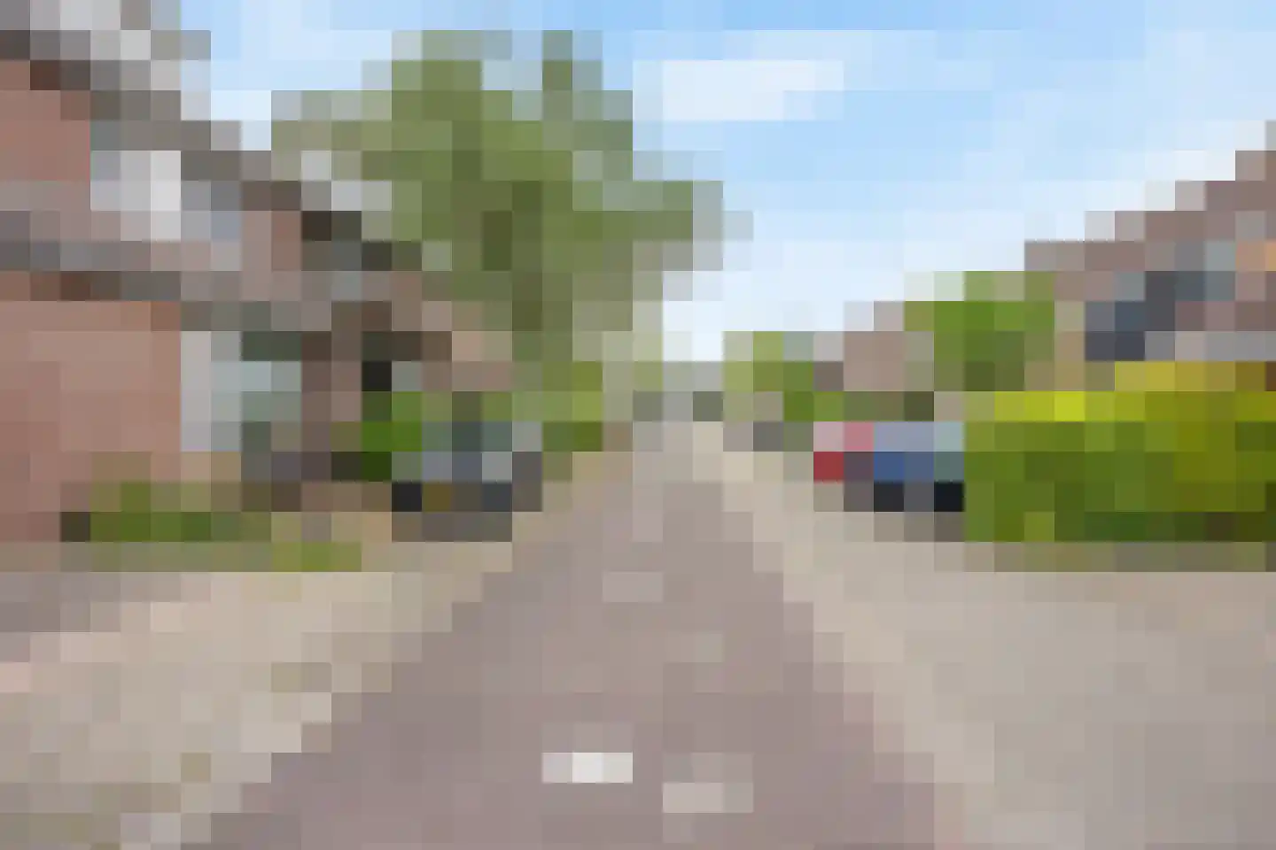 Veenmos 23 Nieuwerkerk aan den IJssel thumbnail 29
