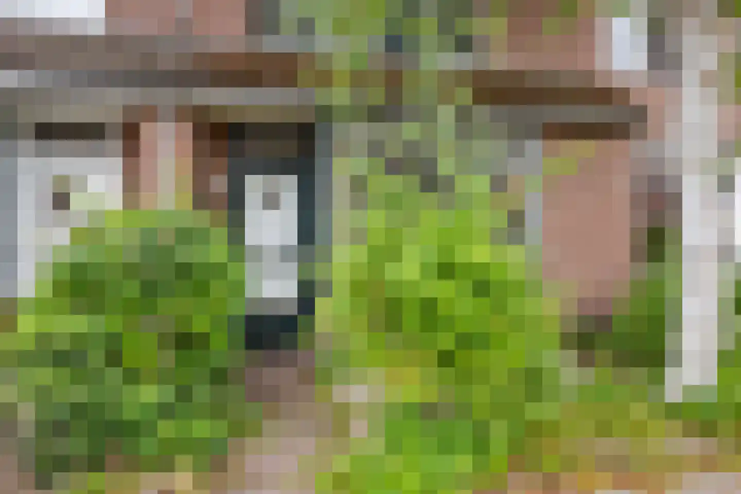 Veenmos 23 Nieuwerkerk aan den IJssel thumbnail 4