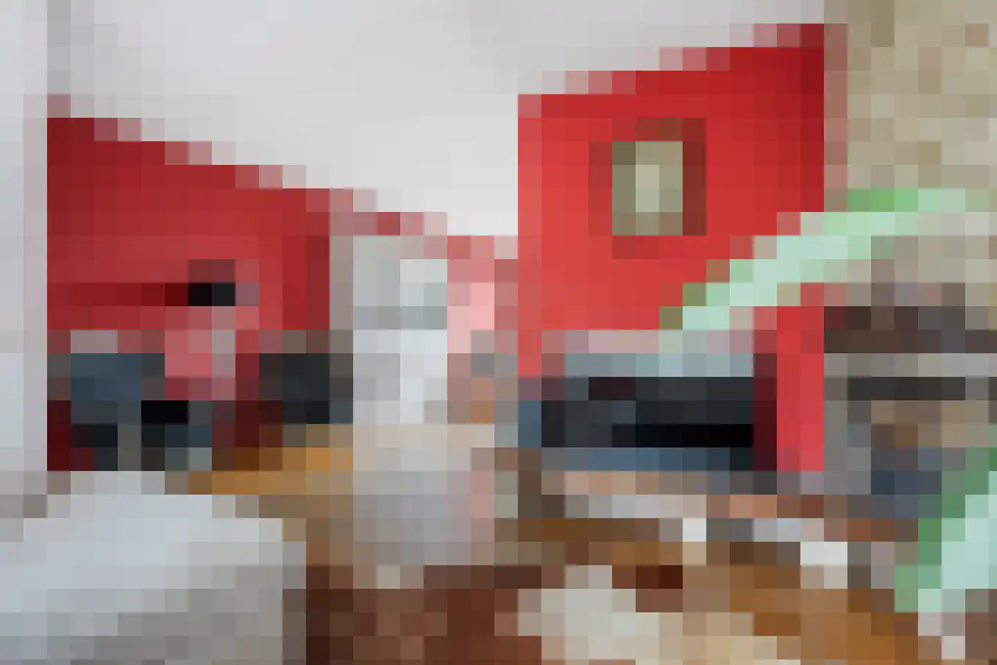 Veenmos 23 Nieuwerkerk aan den IJssel thumbnail 5