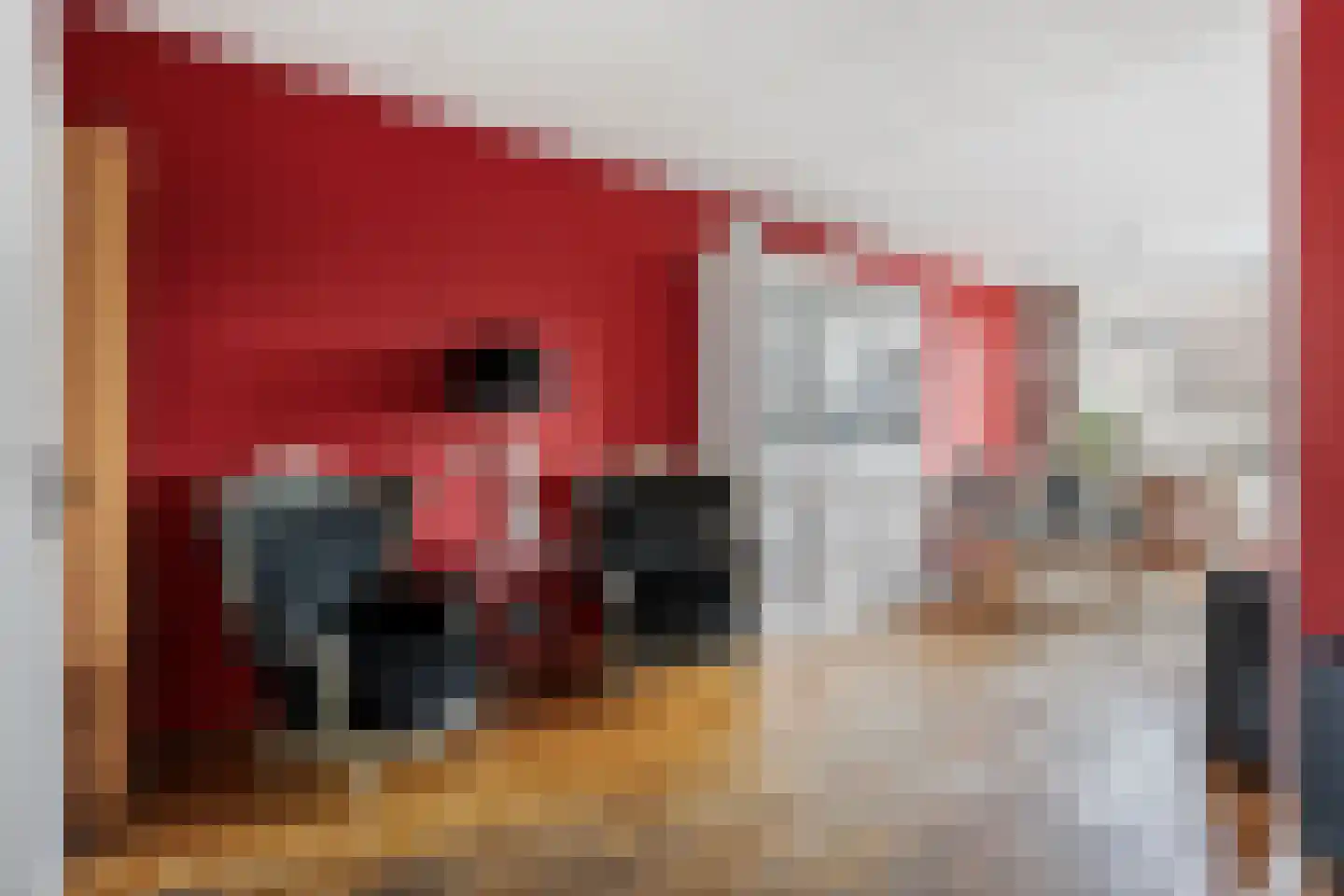 Veenmos 23 Nieuwerkerk aan den IJssel thumbnail 7