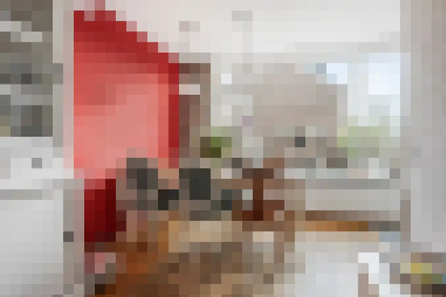 Veenmos 23 Nieuwerkerk aan den IJssel thumbnail 9