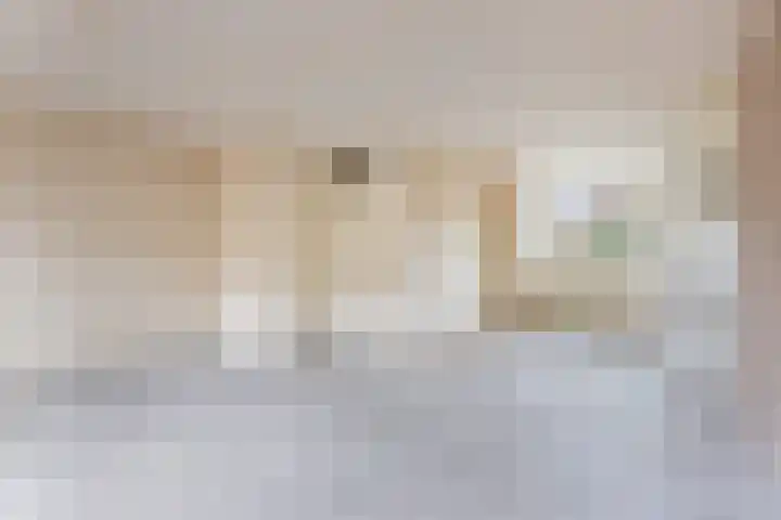 Veenmos 3 Reeuwijk thumbnail 13