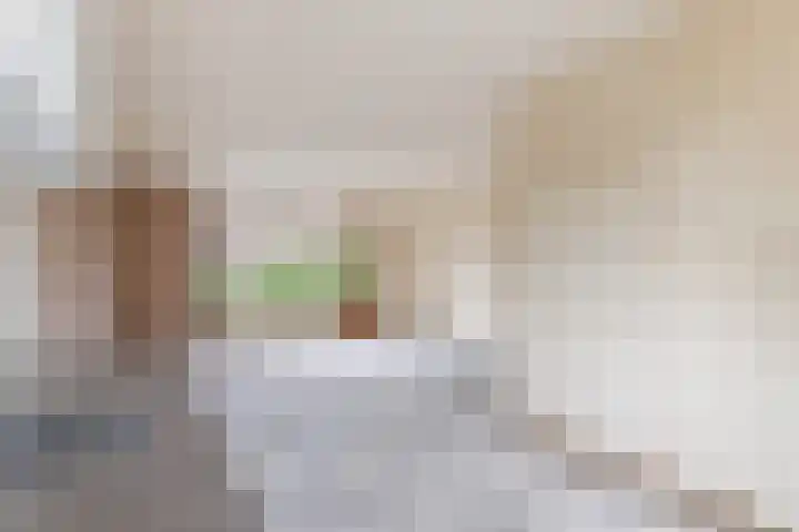 Veenmos 3 Reeuwijk thumbnail 14