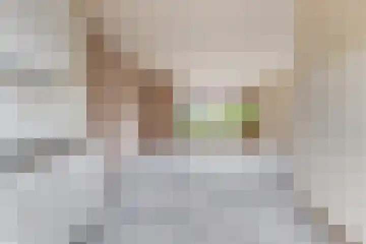 Veenmos 3 Reeuwijk thumbnail 15