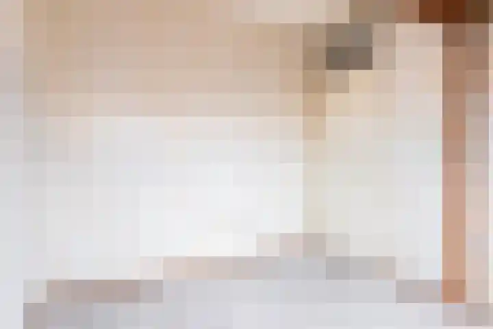 Veenmos 3 Reeuwijk thumbnail 19