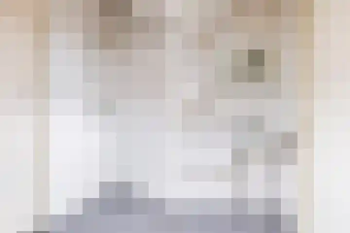 Veenmos 3 Reeuwijk thumbnail 20