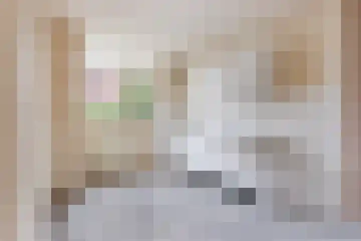 Veenmos 3 Reeuwijk thumbnail 21