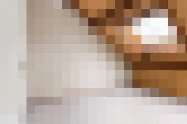 Veenmos 3 Reeuwijk thumbnail 24
