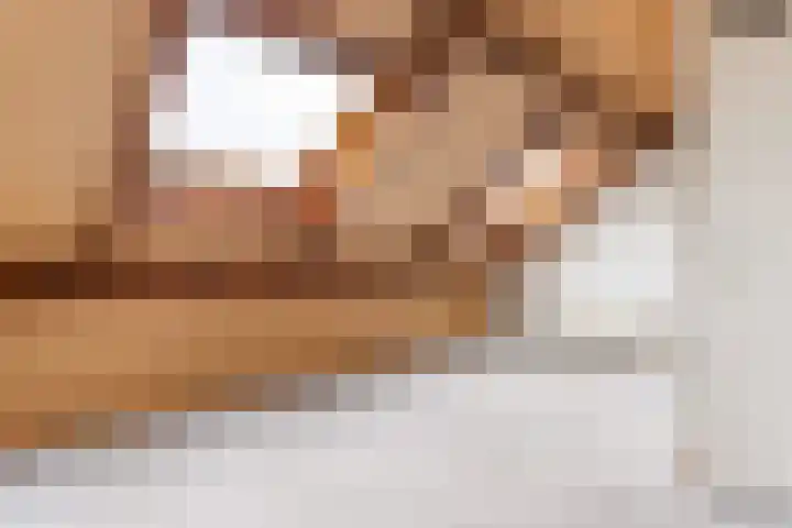 Veenmos 3 Reeuwijk thumbnail 25
