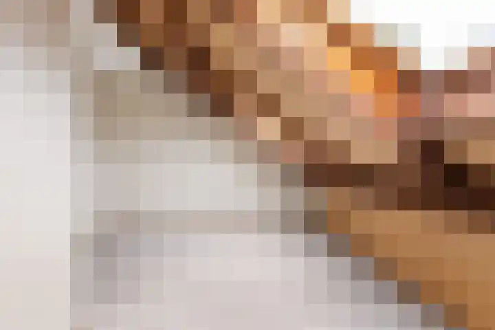 Veenmos 3 Reeuwijk thumbnail 26