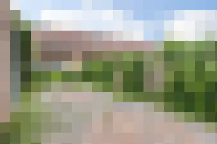 Veenmos 3 Reeuwijk thumbnail 27