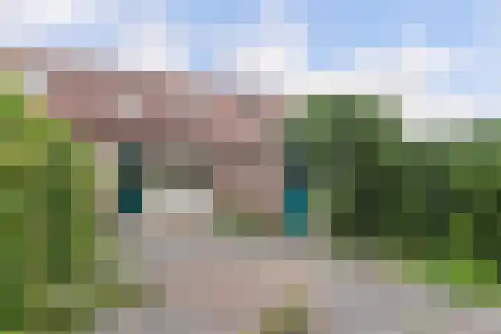 Veenmos 3 Reeuwijk thumbnail 28