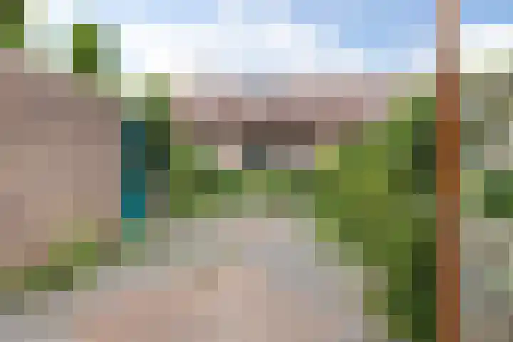 Veenmos 3 Reeuwijk thumbnail 29