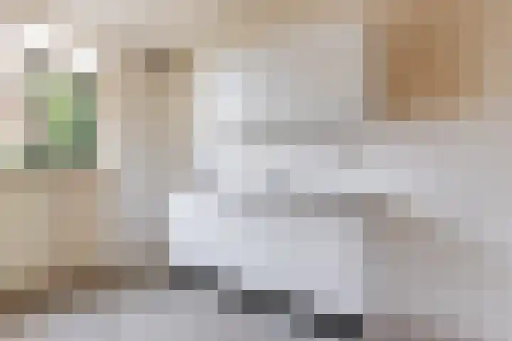 Veenmos 3 Reeuwijk foto 3