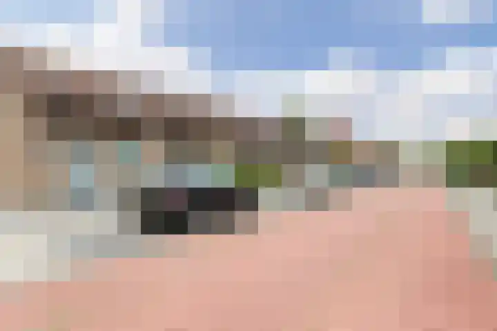 Veenmos 3 Reeuwijk thumbnail 31