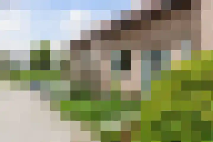 Veenmos 3 Reeuwijk thumbnail 32