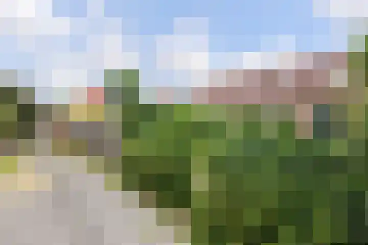 Veenmos 3 Reeuwijk thumbnail 34