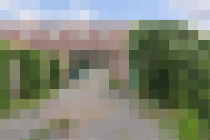 Veenmos 3 Reeuwijk thumbnail 5