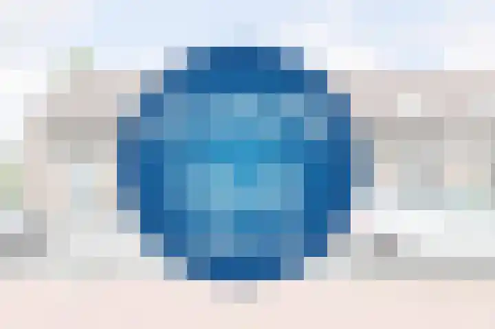 Veenmos 3 Reeuwijk thumbnail 6