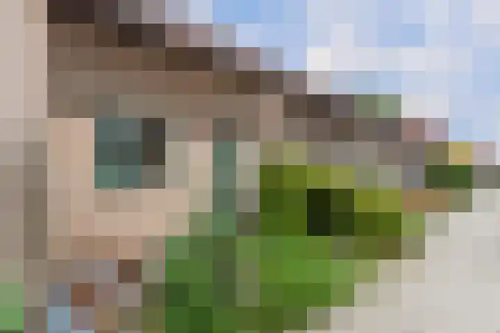 Veenmos 3 Reeuwijk thumbnail 7