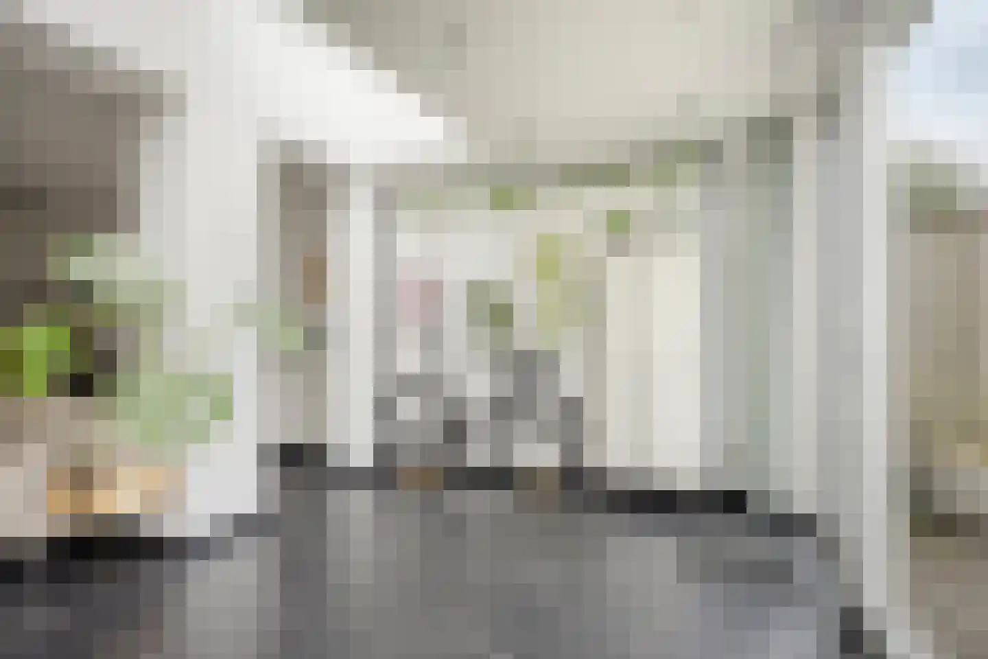 Veenmos 35 Boekel thumbnail 10