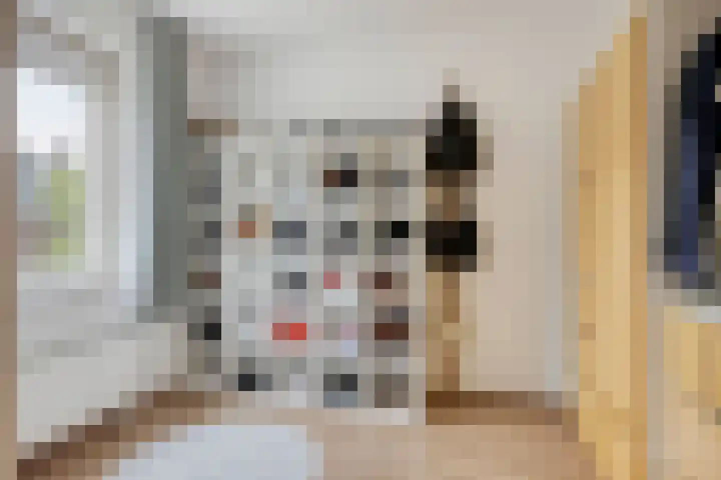 Veenmos 35 Boekel thumbnail 15