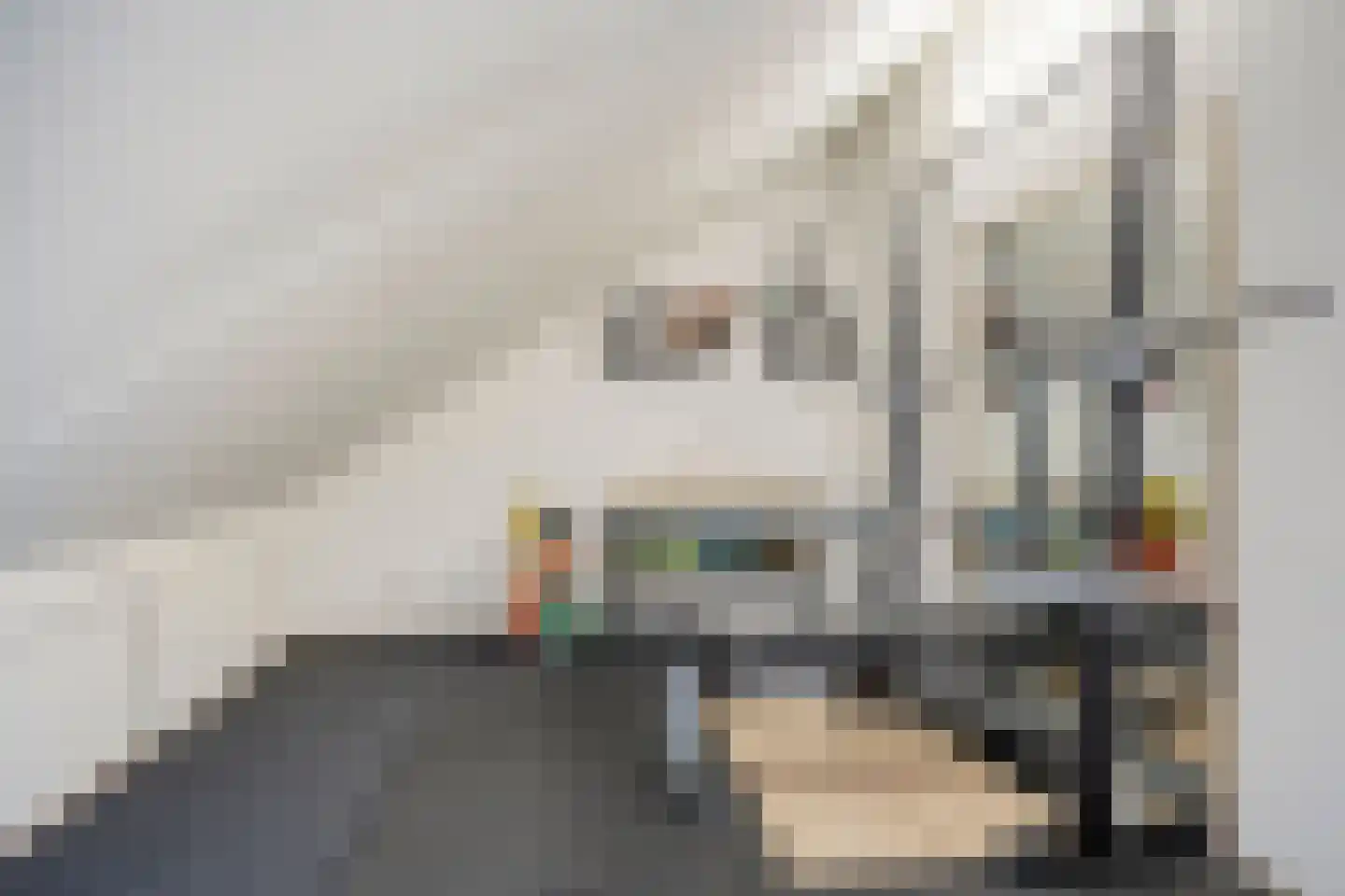 Veenmos 35 Boekel thumbnail 24