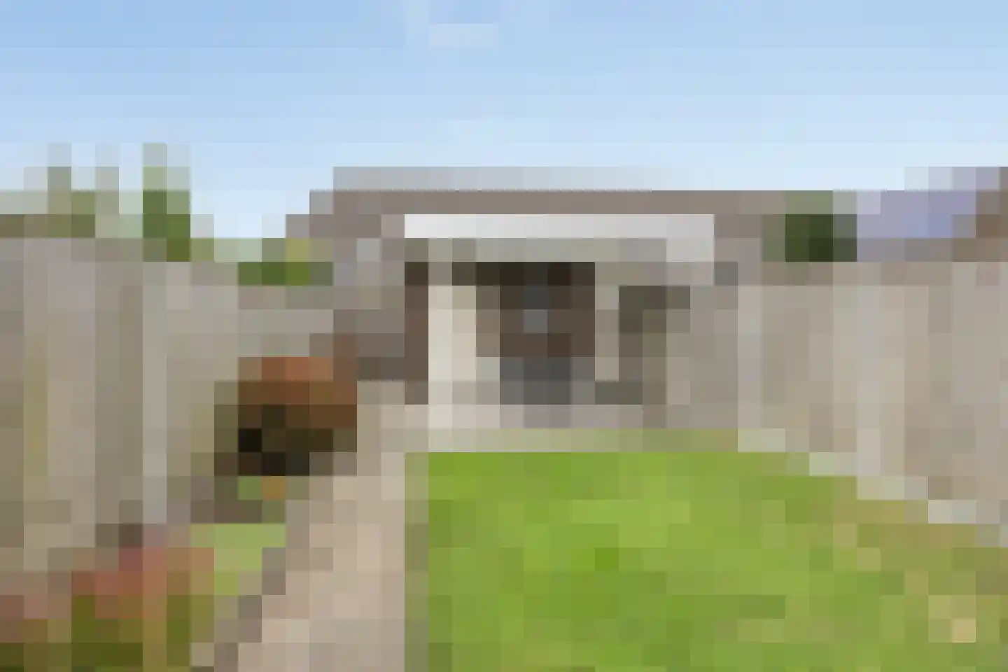 Veenmos 35 Boekel thumbnail 26