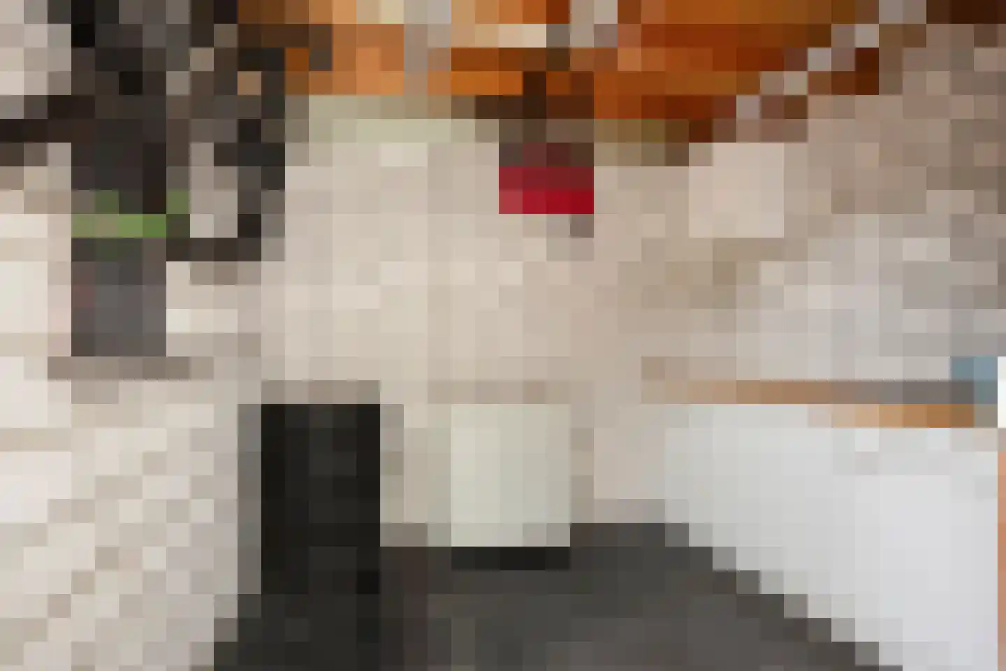 Veenmos 35 Boekel thumbnail 29