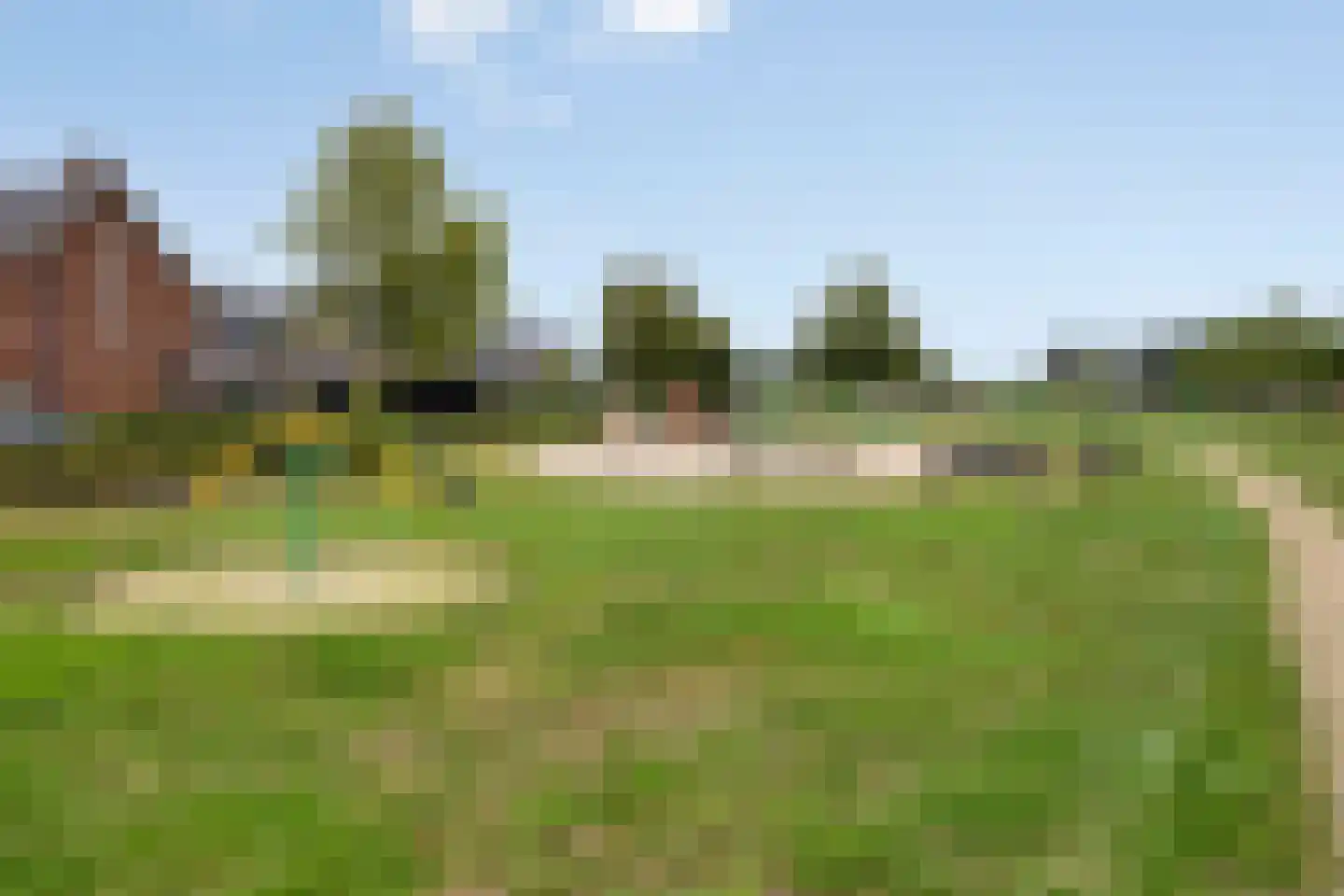 Veenmos 35 Boekel thumbnail 33