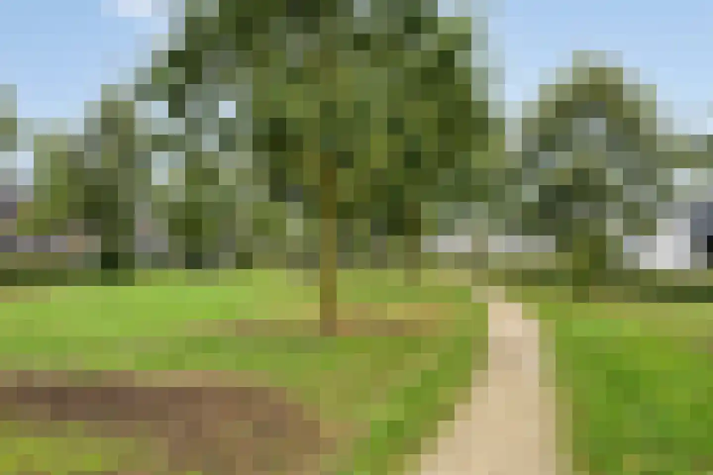 Veenmos 35 Boekel thumbnail 34