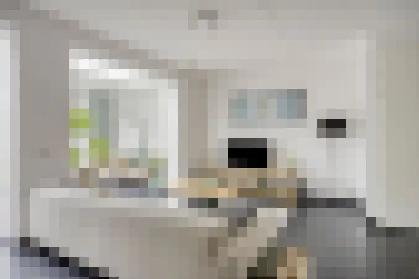 Veenmos 35 Boekel thumbnail 6