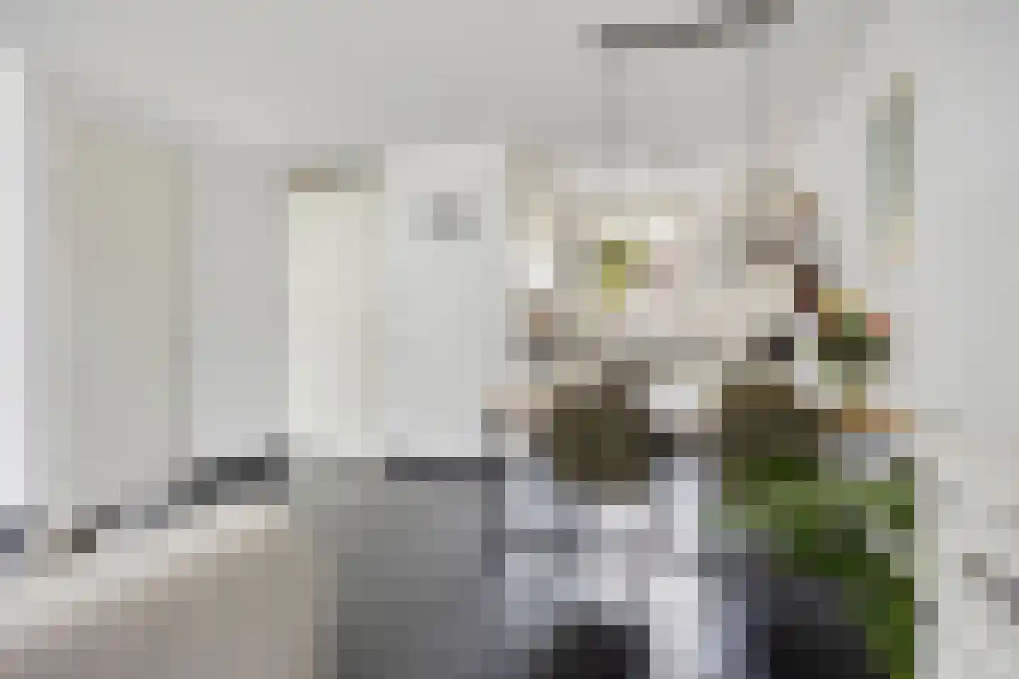Veenmos 35 Boekel thumbnail 8