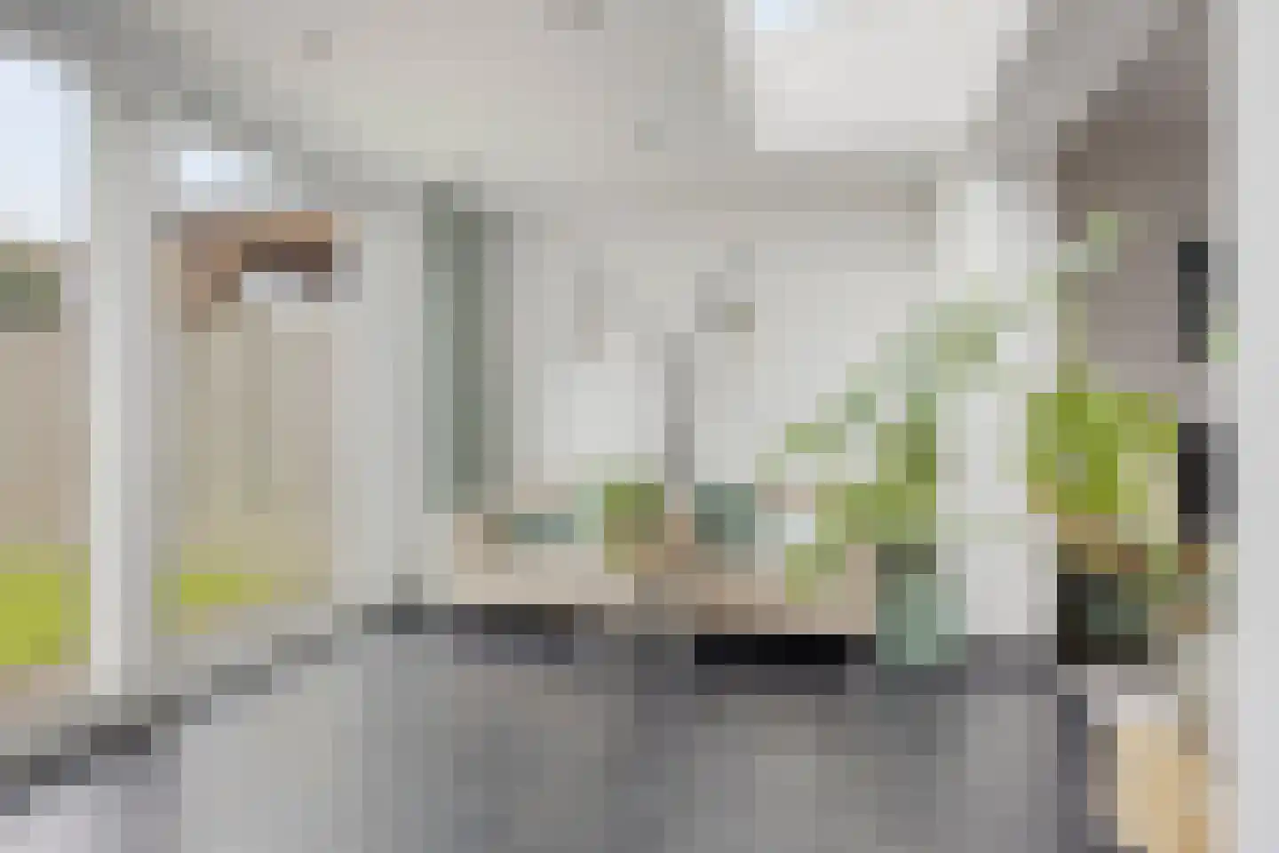 Veenmos 35 Boekel thumbnail 9