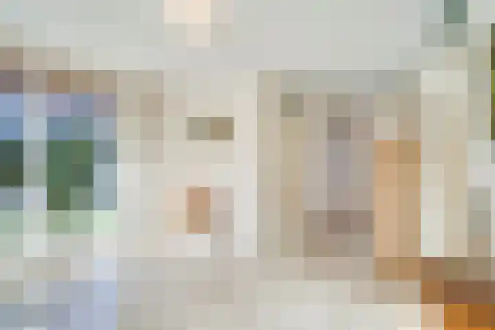 Veenmos 4 Reuver thumbnail 10
