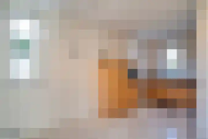 Veenmos 4 Reuver thumbnail 12