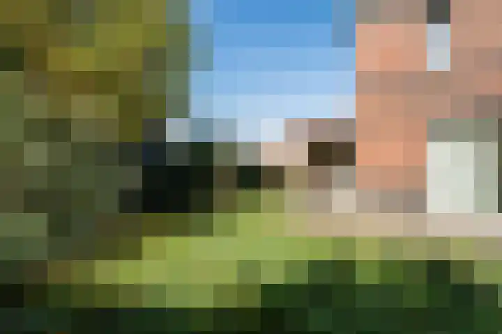 Veenmos 4 Reuver thumbnail 18