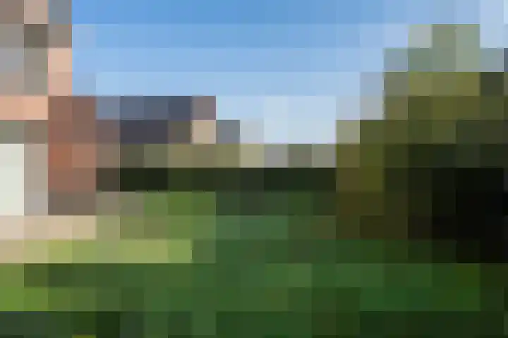 Veenmos 4 Reuver thumbnail 19