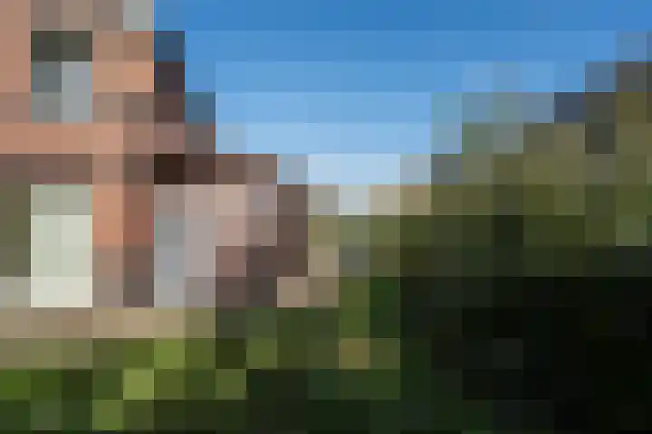 Veenmos 4 Reuver thumbnail 21
