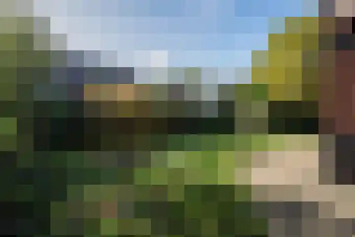 Veenmos 4 Reuver thumbnail 23