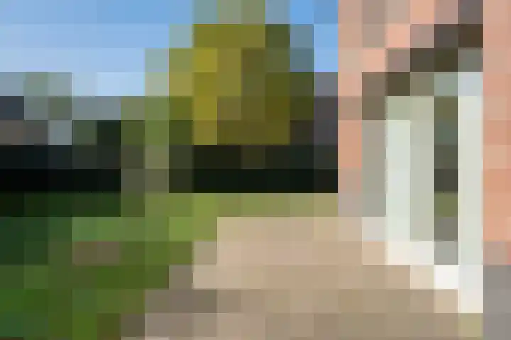 Veenmos 4 Reuver thumbnail 24