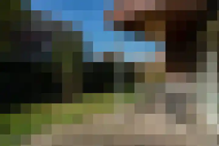 Veenmos 4 Reuver thumbnail 25